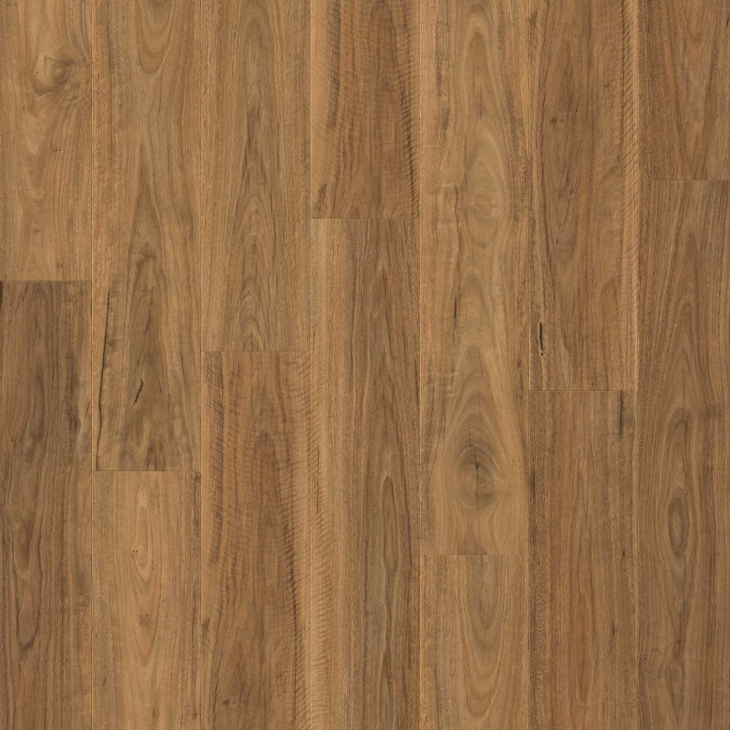 Quick Step Impressive Spotted Gum, Armstrong Laminate Flooring Review Australia