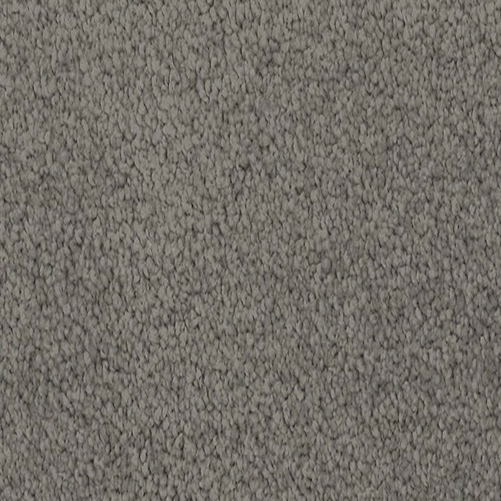 Camelia Drive Burnished Steel