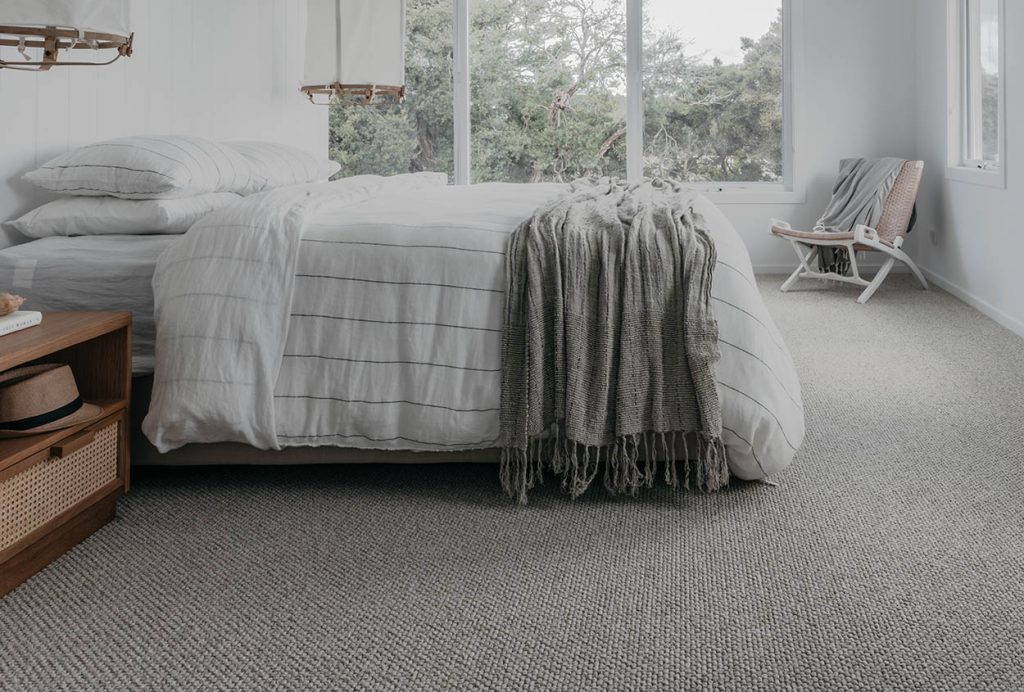 Carpet Care Page