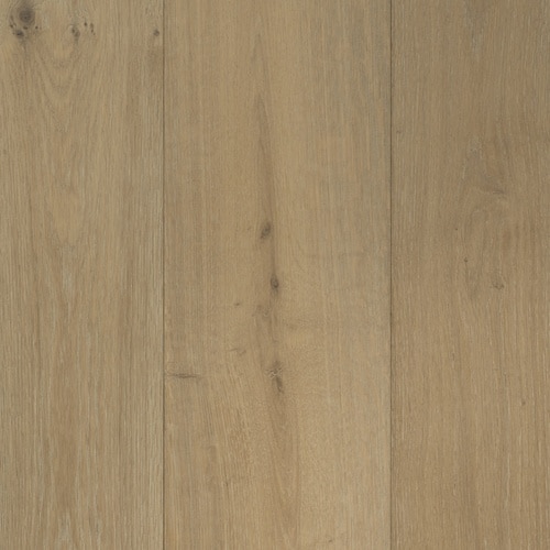 Forrest Pine