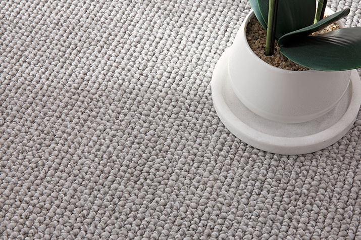 A close-up view of Reside Narooma Seabreeze polyester carpet flooring. The carpet features a soft, looped texture in a light, breezy grey tone, evoking a sense of coastal tranquillity. A white planter with a green leafy plant sits on the carpet, showcasing its durable and stylish design, ideal for Australian homes seeking a relaxed and modern aesthetic. Modern living room with textured carpet – Flooring Xtra