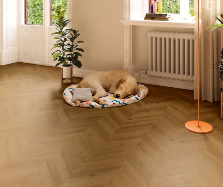 Finfloor Supreme Dijon Cheveron Oak Laminate