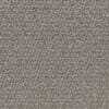 Dunbarton Fawn Polypropylene Carpet