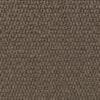 Dunbarton Trail Polypropylene Carpet