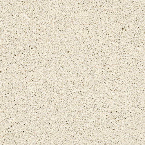 Finmere Avena