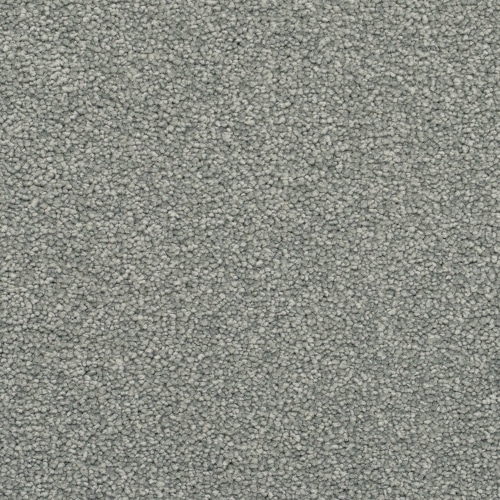 Yarrabee Dove