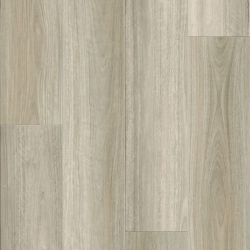 Hotham Ridge Alpine Ash