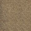 Mallee Dusk Ochre SDN Carpet