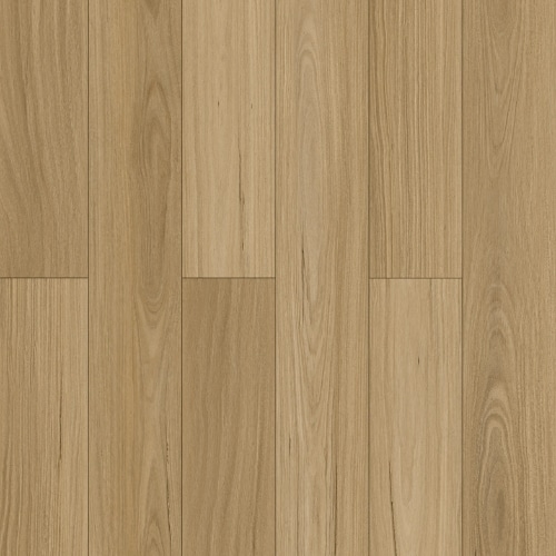 Kanso Sunlit Blackbutt