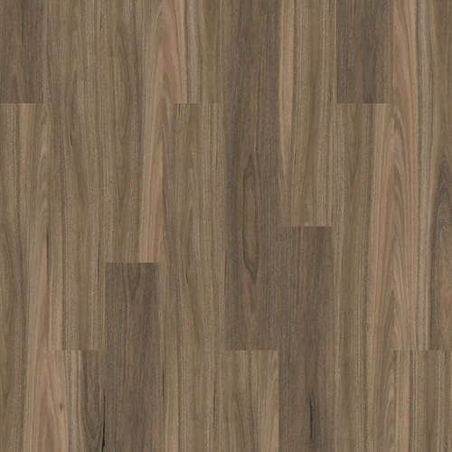 Riverland Eden Spotted Gum