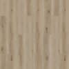 Riverland Pathaway LVP