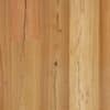 Australian Essentials Spotted Gum Feature Timber