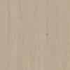Shoreline Byron Drift Timber