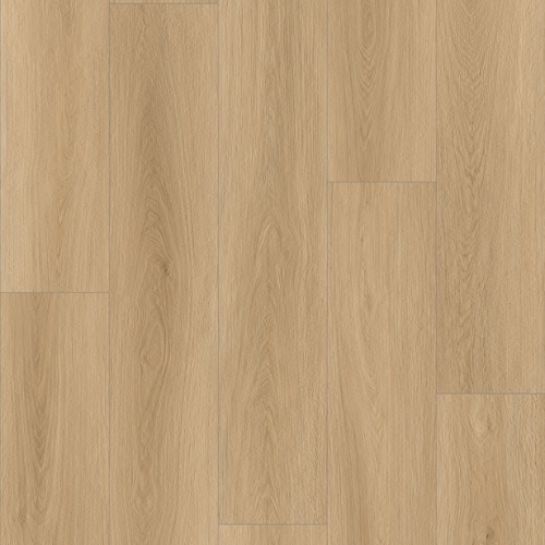 Zen Bare Clay