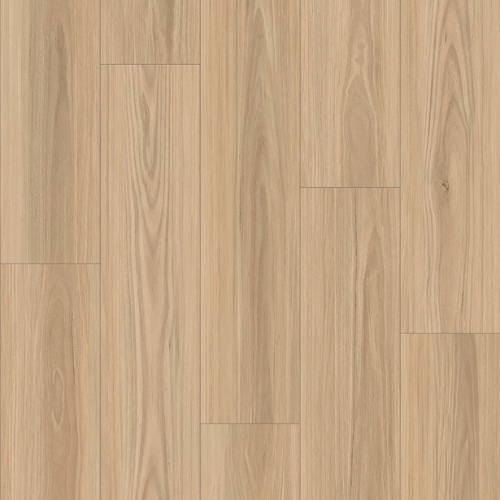 Zen Blackbutt – Cloud