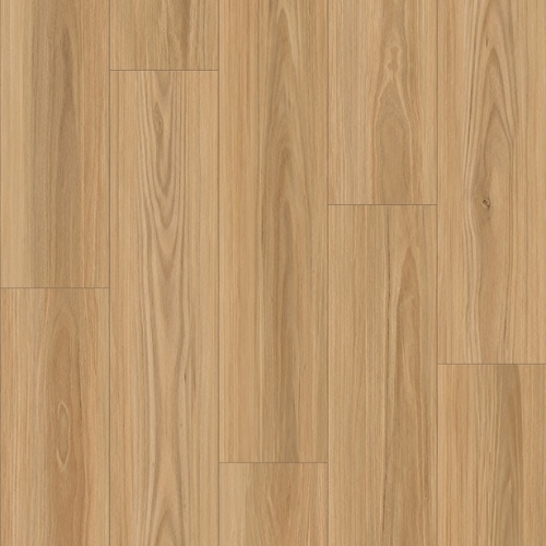 Zen Blackbutt – Tranquil