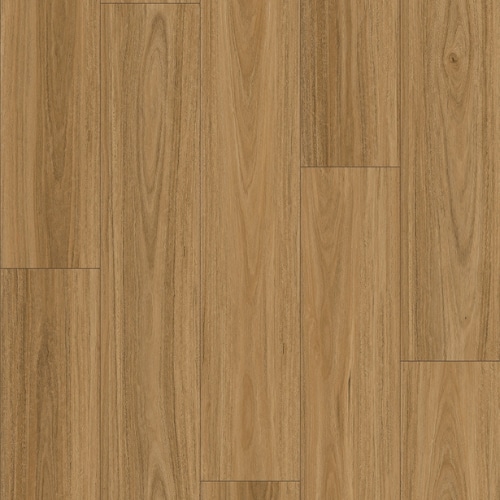 Zen Spotted Gum – Stillness