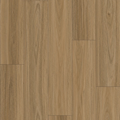 Zen Spotted Gum – Serenity