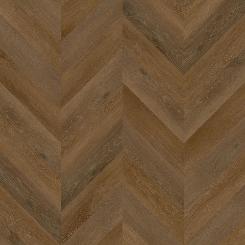Aspecta Chevron Brienz