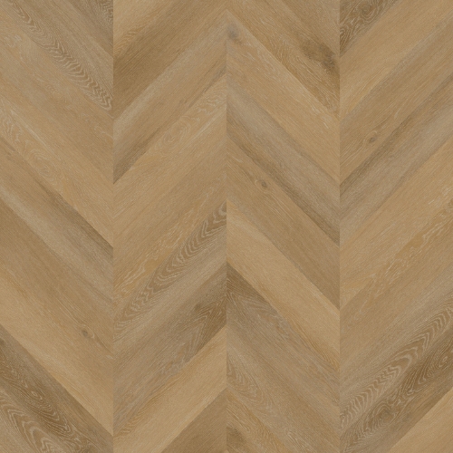 Aspecta Chevron Albano
