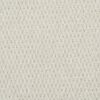 Everleigh Pearl Cove SDN Loop Carpet