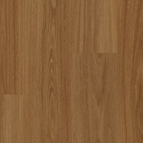 Homeland Mansfield Spotted Gum