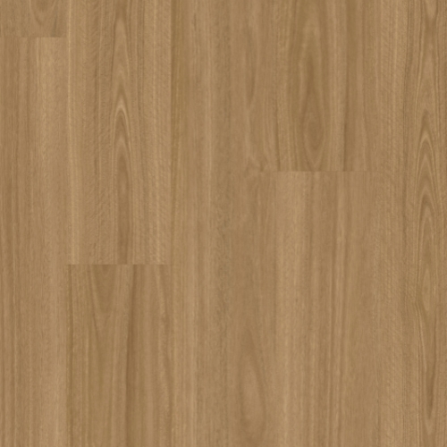 Homeland Mt Barker Spotted Gum