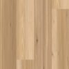 Paramount Wood XL Coastal Blackbutt LVP