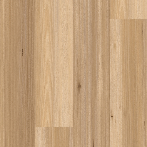 Paramount Wood XL Coastal Blackbutt