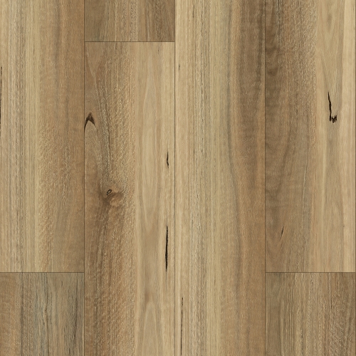 Paramount Wood XL Australian Spotted Gum