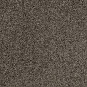 Mapleton Falls Trial Print