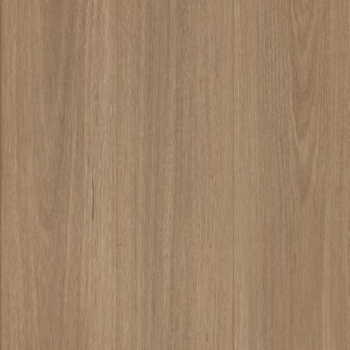 Whitehaven Horizon Spotted Gum