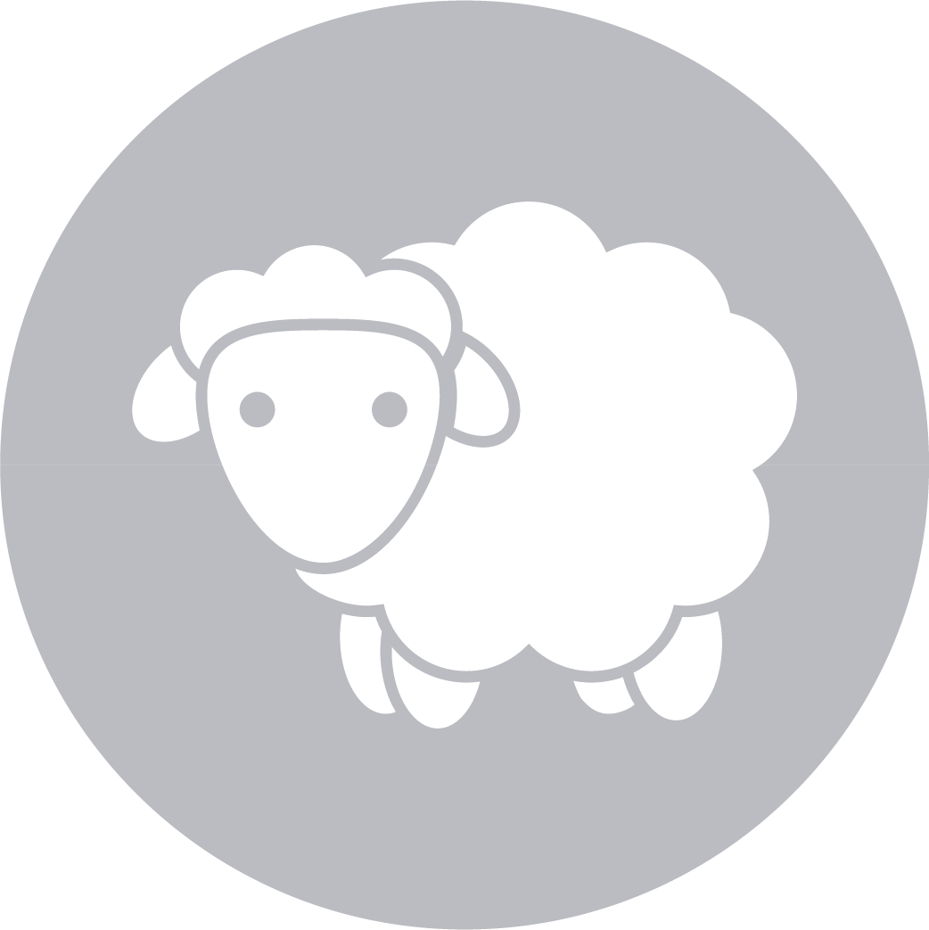 Wool Icon