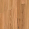 Scarborough 1 Strip Blackbutt Matt Timber