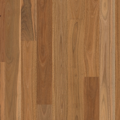 Scarborough 1-Strip Spotted Gum Gloss